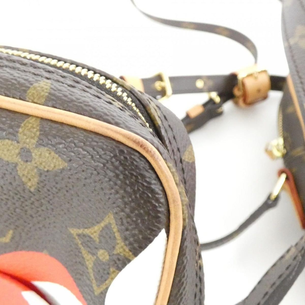 Louis Vuitton Gameon Monogram Panam Set Shoulder Bag Brown Marron — view 5
