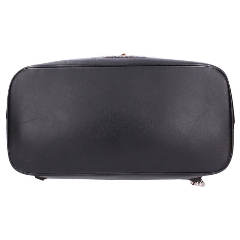 Goyard Alpin MM Pvcleather Erinborn 2-way Backpack Men's MM