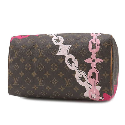 Louis Vuitton Handbag Speedy 30 Monogram Canvas Monogram Bay Gold Hardware