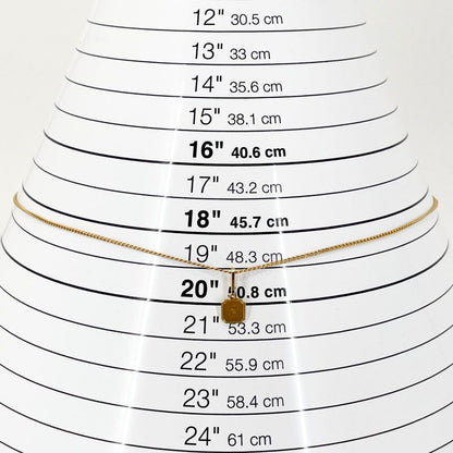 Celine Separable Triomphe Plate Necklace Box 24-1406