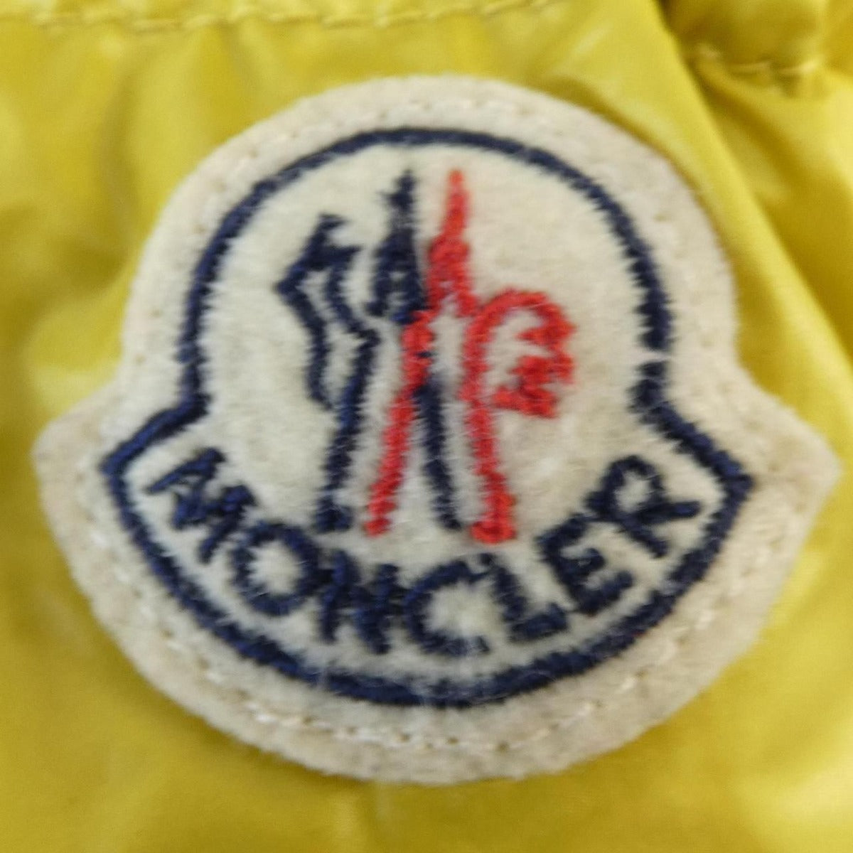 Moncler Serinde Down Jacket — view 8