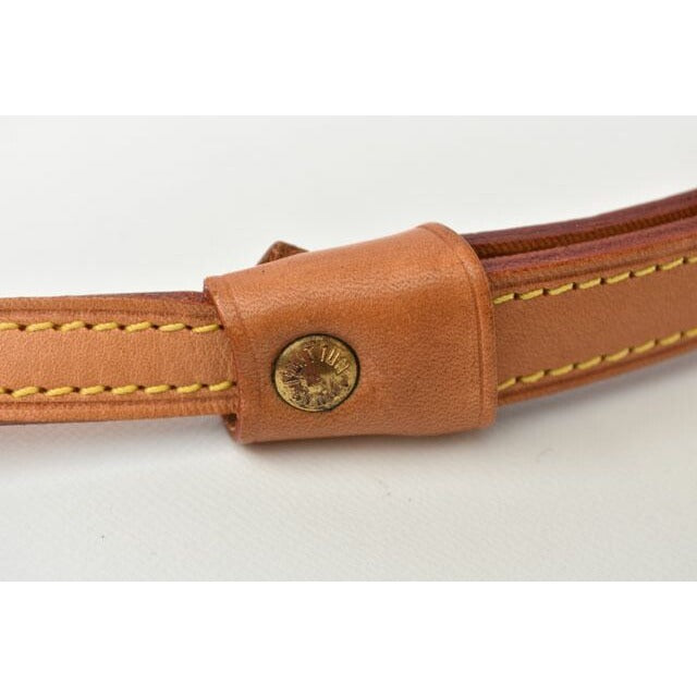 Louis Vuitton Pet Supplies Medium Shape Dog Lead Less Baxter MM — view 3