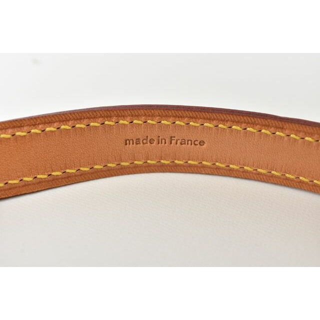 Louis Vuitton Pet Supplies Medium Shape Dog Lead Less Baxter MM — view 6