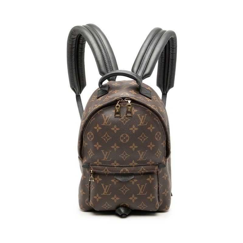 Louis Vuitton Monogram Palm Springs PM Backpack Brown Black Leather