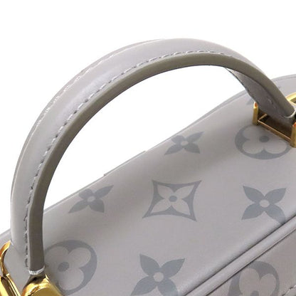 Louis Vuitton 2way Bag Vanity Chain Pouch Calfskin Leather Trianon Gray Gold