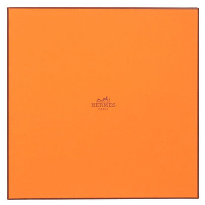 Hermes Carré 90 Torana All-over Silk Scarf For Men 90