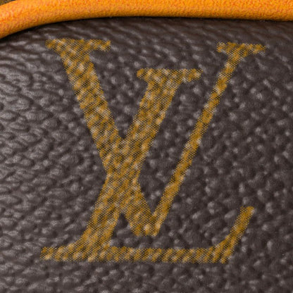 Louis Vuitton Shoulder Bag Danube Brown