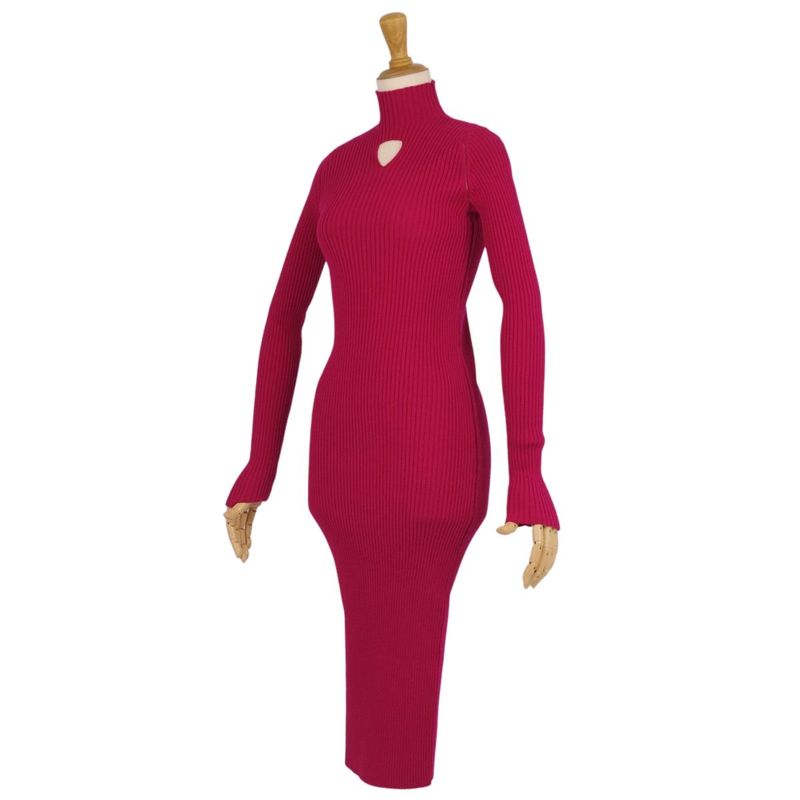 Bottega Veneta Dress 2021 Dani