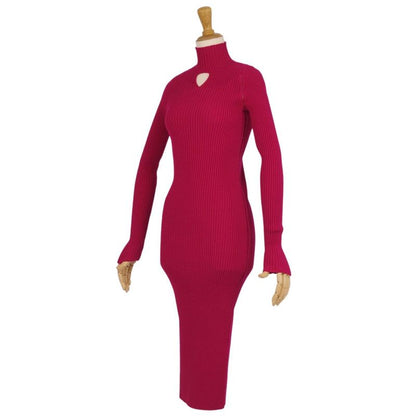 Bottega Veneta Dress 2021 Dani