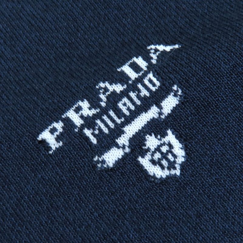 Prada 2023 P2401l Silk Cotton Logo Crew Neck Short Sleeve Knit Sweater Light