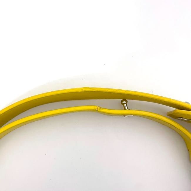 Loewe 2way Bag Amazona 75 F22917 Yellow