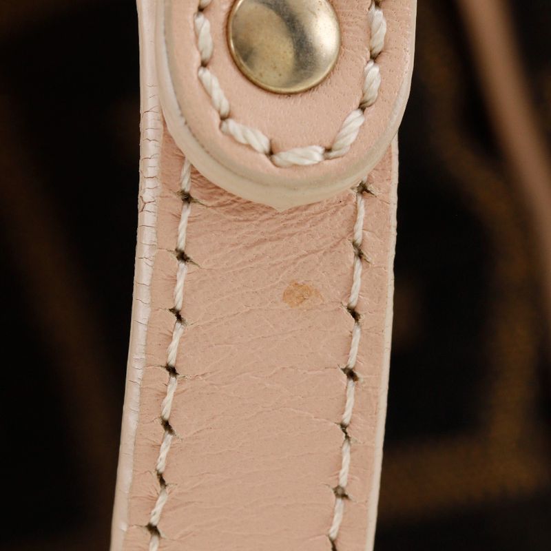 Fendi Zucca Logo Charm 8bh156 Canvas Brown Ladies Tote Bag