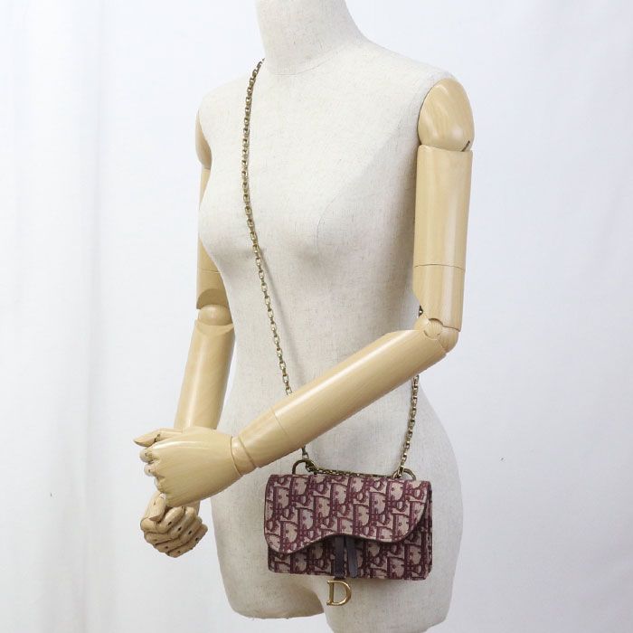 DIOR Chain Pouch Small Saddle S5614ctzq Crossbody Shoulder Bag Jacquard Women's