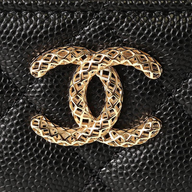 Chanel Pass Case (commuter Pass Holder) CARD CASE Black
