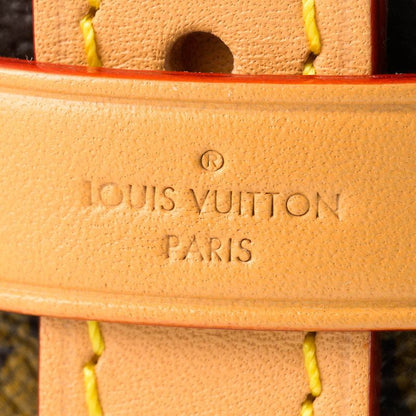 Louis Vuitton Carryall NM PM Brown Tote Bag