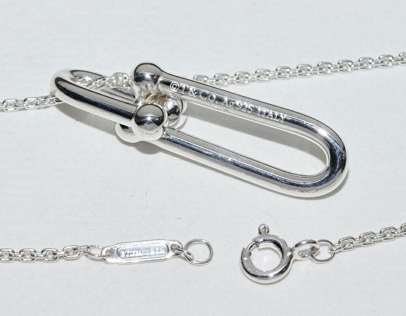 Tiffany & Co Pendant Necklace SV Hardware Slender Link Pendant Necklace