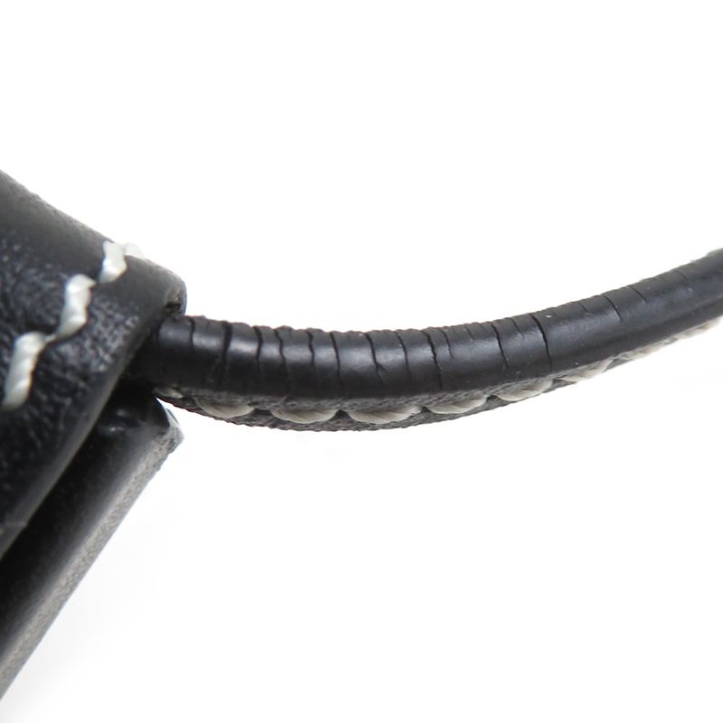 Loewe Coin Case Heel Pouch