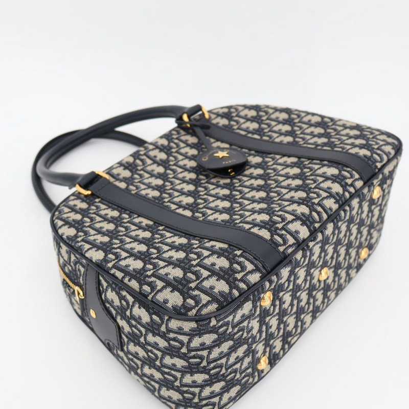 Christian DIOR Vibe Oblique Canvas And Leather 2WAY Handbag