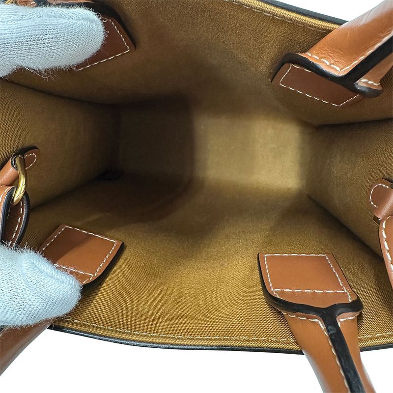 Celine Bag Women's Brand Handbag Shoulder Bag 2way Triomphe Canvas Triomphe