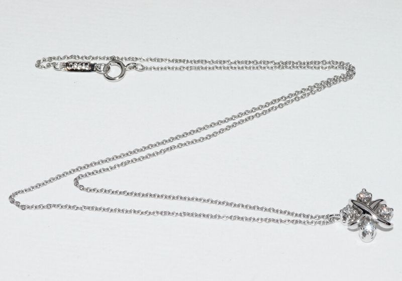 Tiffany & Co Pendant Necklace Pt950 Diamond 4P (021ct) Jean Schlumberger