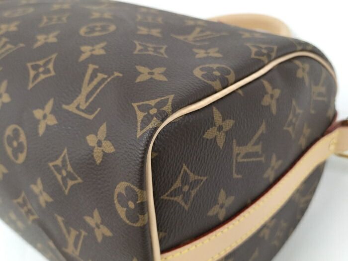 Louis Vuitton Speedy Bandoliere 25 Monogram Handbag M41113
