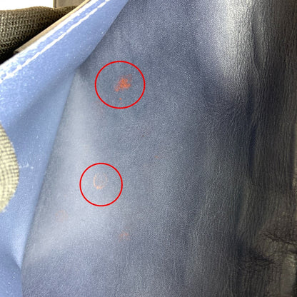 Louis Vuitton Damier Infini Portefeuille Brother Bifold Long Wallet N63119