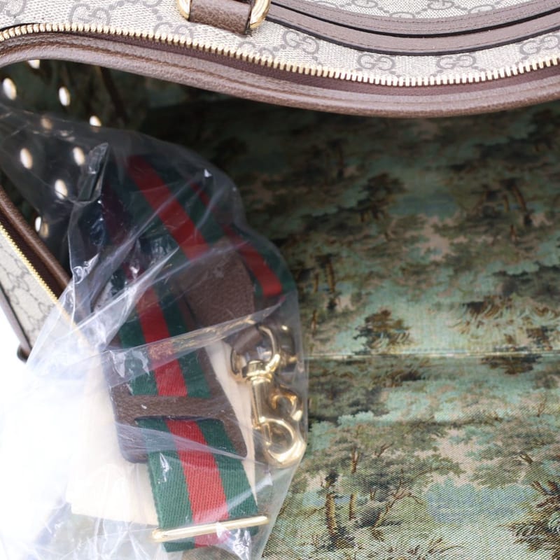 Gucci GG Small Pet Carry With Web Stripe
