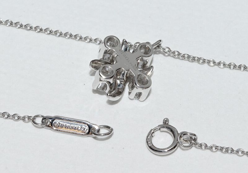 Tiffany & Co Pendant Necklace Pt950 Diamond 4P (021ct) Jean Schlumberger
