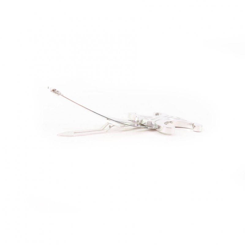 Celine Triomphe Logo Hair Clip Hair Accessory Silver With Box And Storage Bag