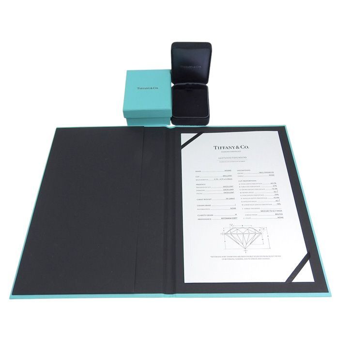 Tiffany & Co Soleste Diamond Necklace Pt950 Platinum Diamond 40.5cm (15.94in)