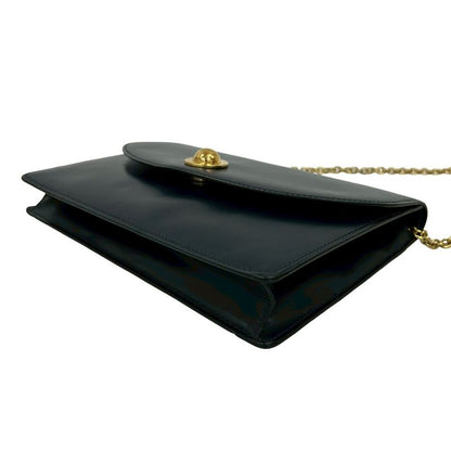 Celine Vintage Star Ball Logo Hardware Calf Leather Chain Shoulder Bag Pochette