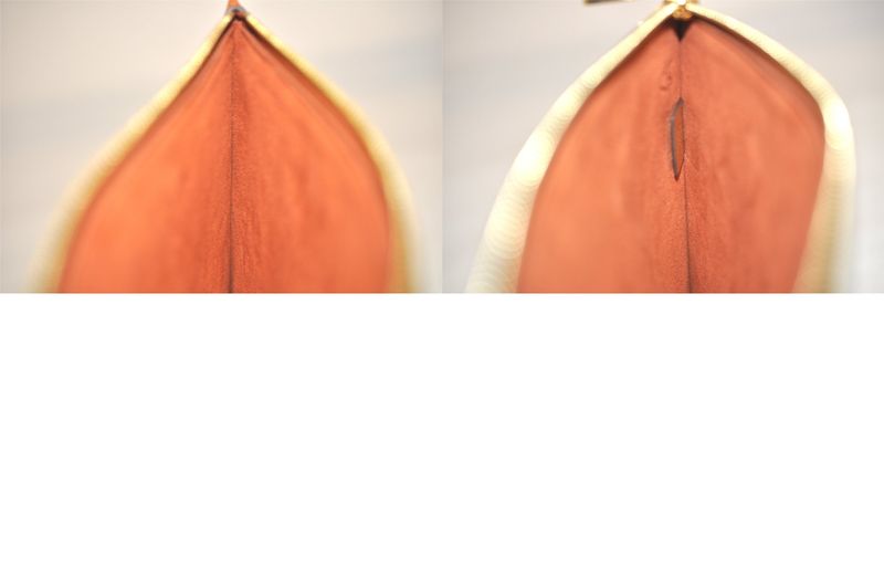 Louis Vuitton Monogram Empreinte Neverfull Pouch Wallet Brown LV 3397n