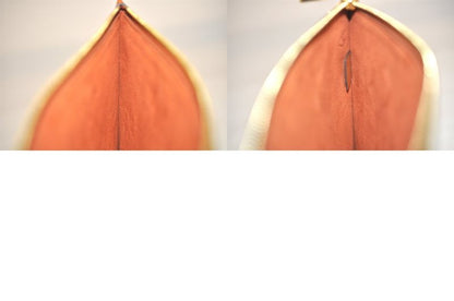 Louis Vuitton Monogram Empreinte Neverfull Pouch Wallet Brown LV 3397n