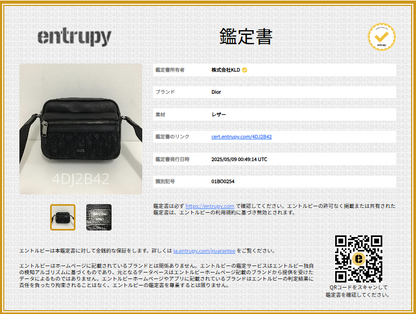 Dior | 2024aw | Rider 2.0 Zip Messenger Bag Mini Oblique Jacquard & Grained