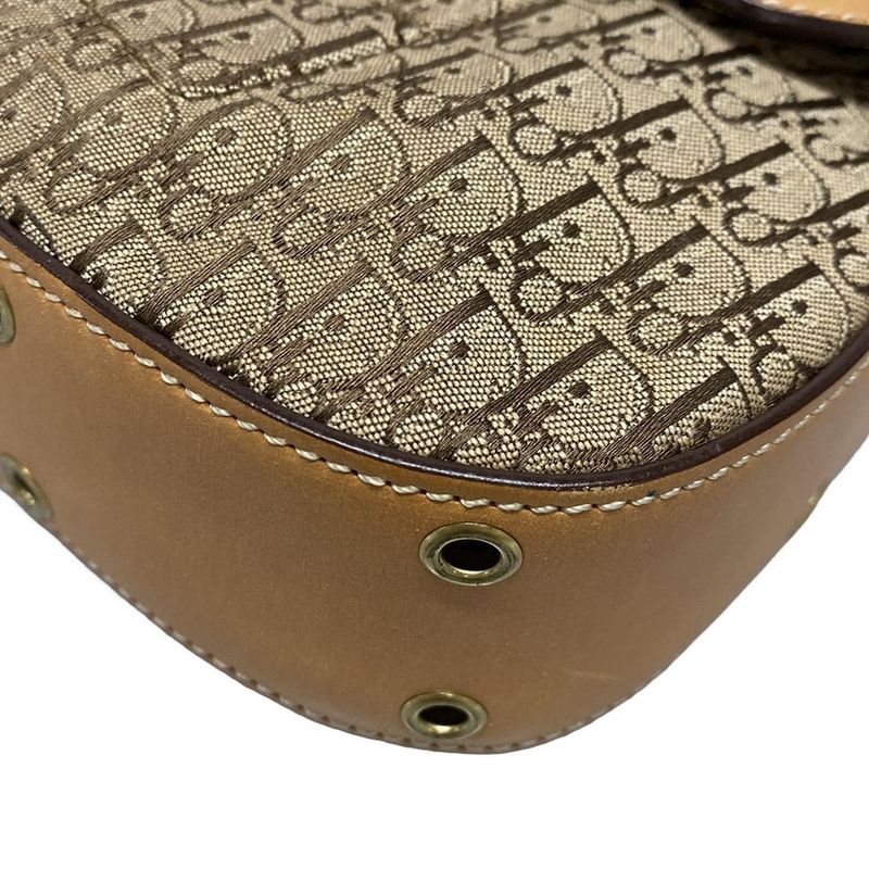 Dior/christian Dior Handbag Street Chic Dark Brown And Beige Leather