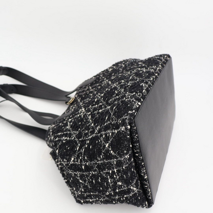 Christian DIOR Handbag Canage Toujours