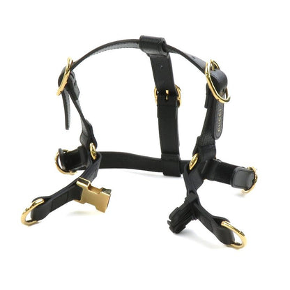 Gucci Dog Harness 692963