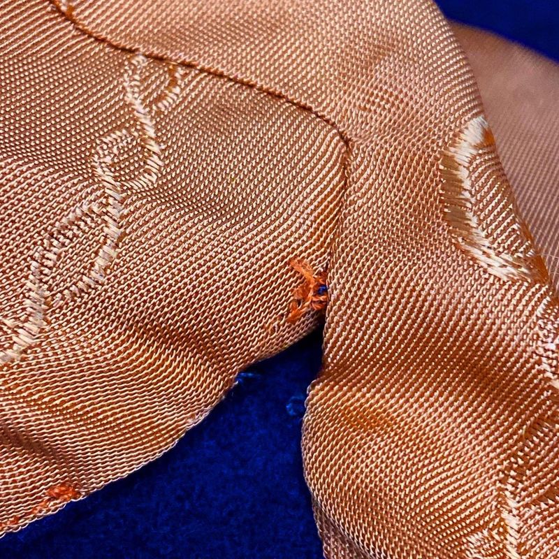 Gucci Coat Size 38 S Women - 655261 Zaal6 Dark Navy Long Sleeves/long Length/fal