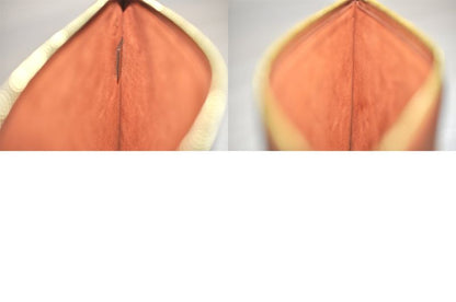 Louis Vuitton Monogram Empreinte Neverfull Pouch Wallet Brown LV 3394n