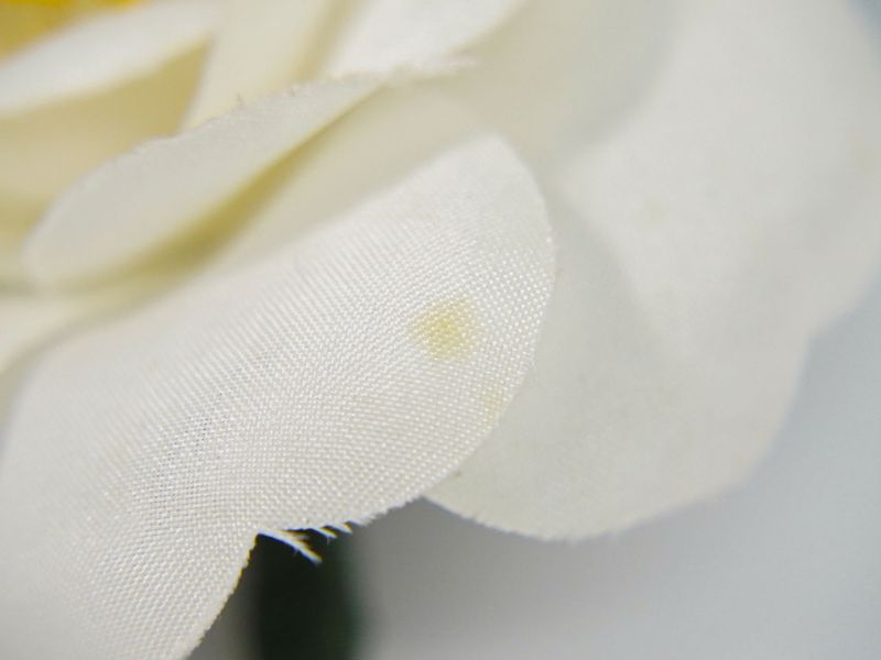 Authentic Chanel Camellia Corsage Brooch Nylon White Green Camellia Accessories