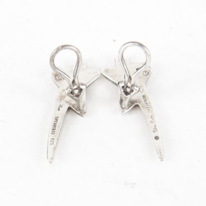 Tiffany & Co [tiffany & Co] Star 65g Earring Silver 925 Ladies Accessories