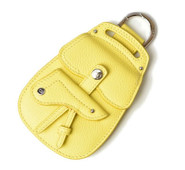 Dior Card Case Coin Case With Key Ring Dior Mini Wallet Dior Saddlebag Motif