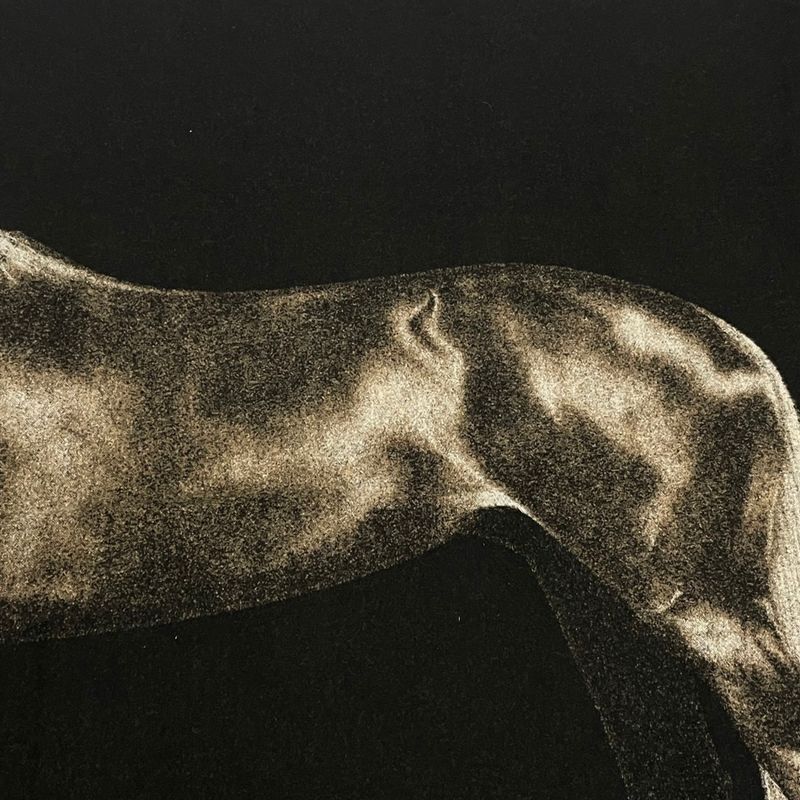 Extra-large Hermes Cheval Palomino Blanket Cheval Palomino Blanket Horse Print