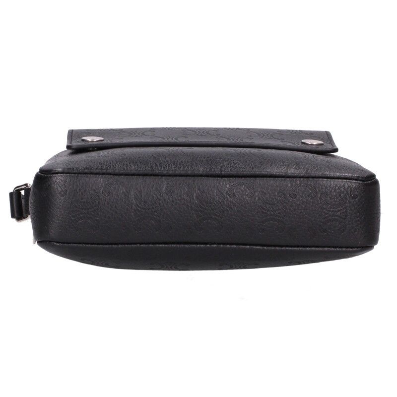 Celine 24AW 119243gdw Mini Camera Bag Triomphe Embossed Leather Shoulder Bag