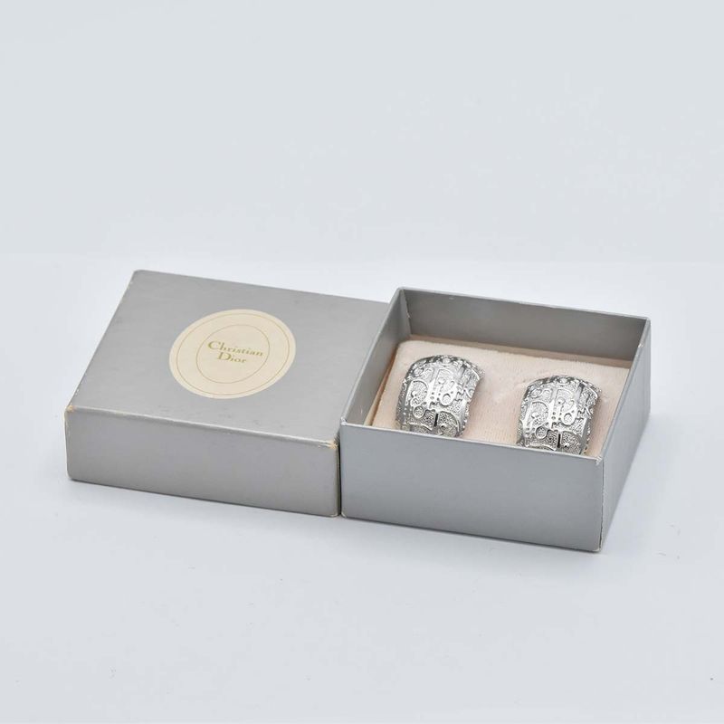 Christian DIOR Earring Trotter Silver Color Accessories Ladies With Box H1744