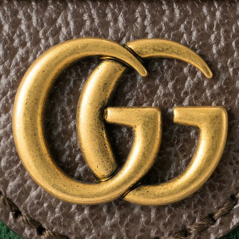 Gucci Waist Bag/body Bag Ophidia Brown