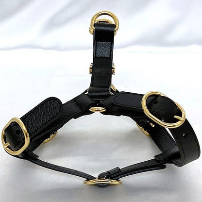 Gucci Harness Black Interlocking 692963 Never Used