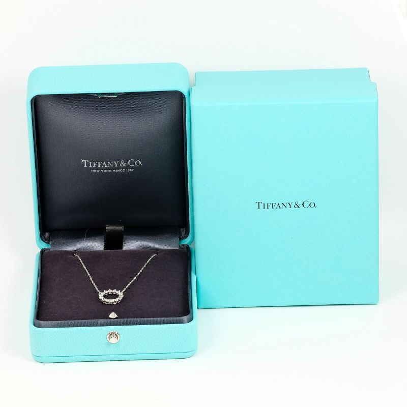 Tiffany & Co Open Circle Small Pt950platinum × Diamond Ladies 2.93g Necklace