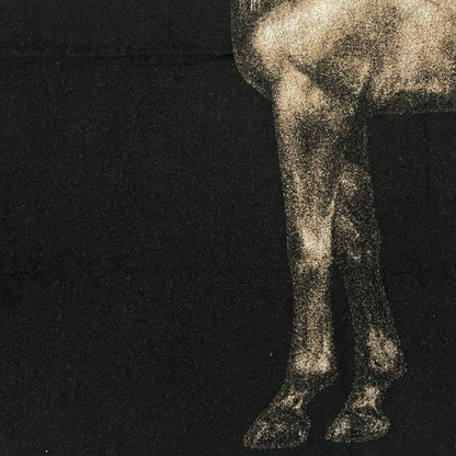 Extra-large Hermes Cheval Palomino Blanket Cheval Palomino Blanket Horse Print