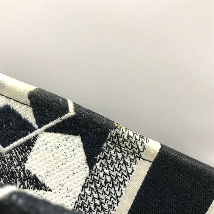 Dior Book Tote Star